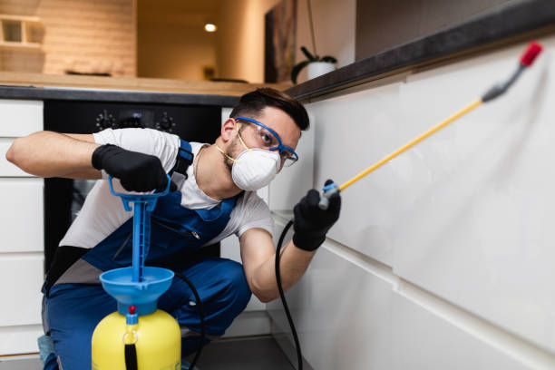 Best Cockroach Control Services  in Fox Lake, WI