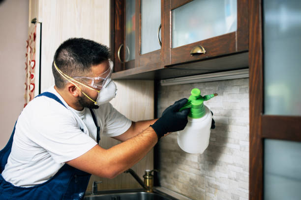 Best Ant Control Services  in Fox Lake, WI