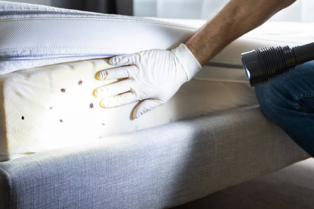 Best Pest Control Near Me  in Fox Lake, WI