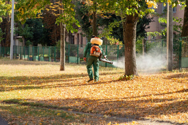 Best Wasp Removal Services  in Fox Lake, WI