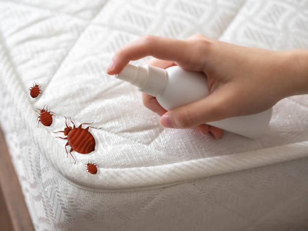 Best Commercial Pest Control Services  in Fox Lake, WI