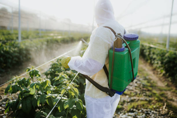 Best Emergency Pest Control  in Fox Lake, WI